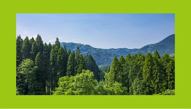 Jグリーンプリンティング（GP）