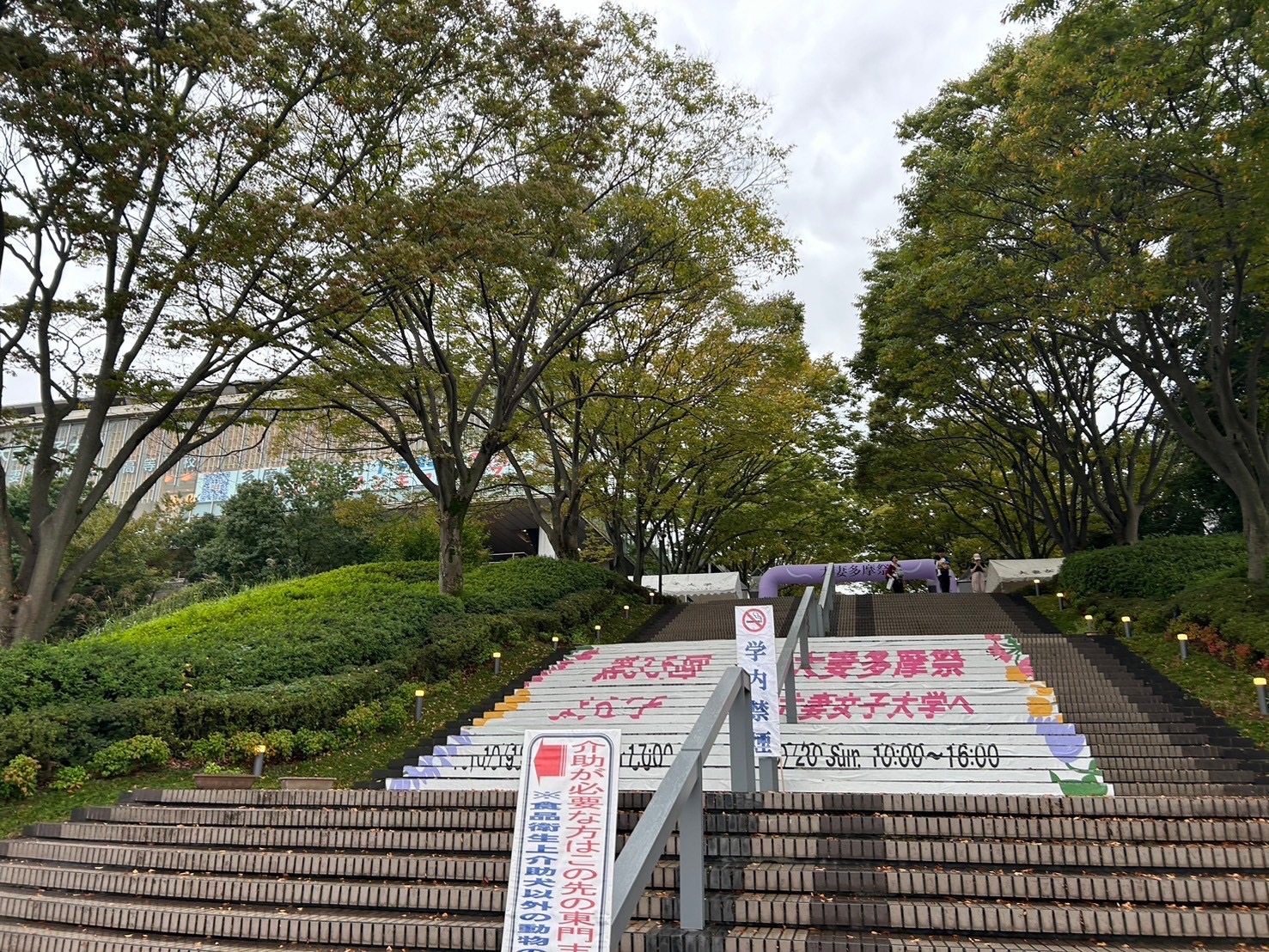 階段アート（学園祭）
